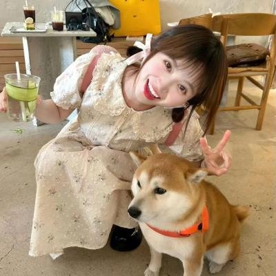 第十三个故事